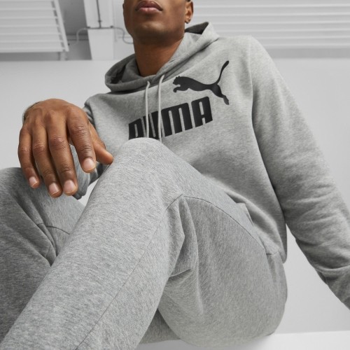Spodnie sportowe męskie Puma Ess Logo Pants Tr szare 586716 03