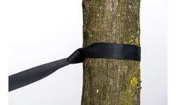 Pas TREE HUGGER, Amazonas