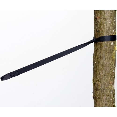 Belt TREE HUGGER, Amazonas