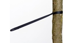 Pas TREE HUGGER, Amazonas