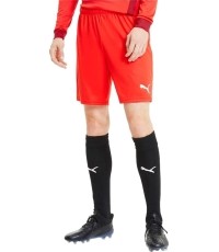 Puma Futbolo Šortai Vyrams TeamGoal 23 Knit Shorts Red 704262 01