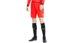 Puma Futbolo Šortai Vyrams TeamGoal 23 Knit Shorts Red 704262 01