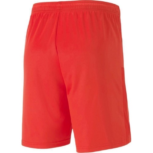 Puma Futbolo Šortai Vyrams TeamGoal 23 Knit Shorts Red 704262 01