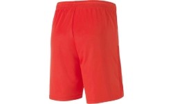 Puma Futbolo Šortai Vyrams TeamGoal 23 Knit Shorts Red 704262 01