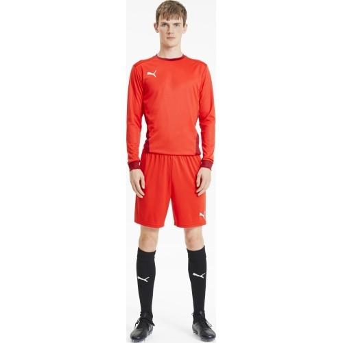 Puma Futbolo Šortai Vyrams TeamGoal 23 Knit Shorts Red 704262 01