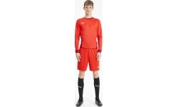 Puma Futbolo Šortai Vyrams TeamGoal 23 Knit Shorts Red 704262 01