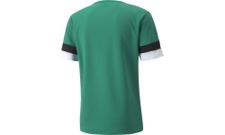 Puma Marškinėliai Vyrams TeamRise Jersey Green 704932 05