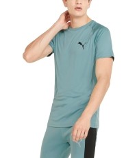 Puma Marškinėliai Vyrams Rtg Tee Mineral Green 585827 50
