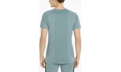 Puma Marškinėliai Vyrams Rtg Tee Mineral Green 585827 50