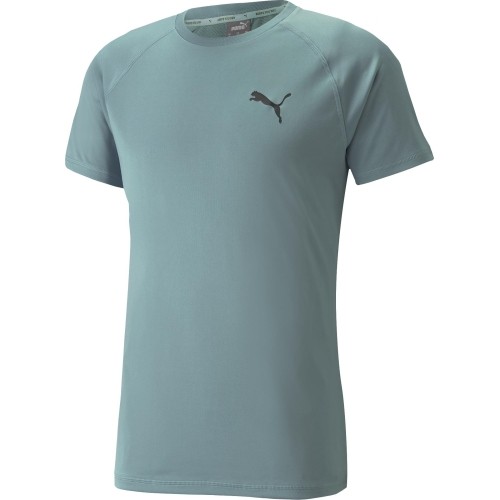 Koszulka męska Puma RTG Tee Mineral Green 585827 50