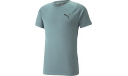 Koszulka męska Puma RTG Tee Mineral Green 585827 50