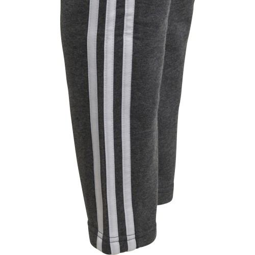 Adidas Kelnės Paaugliams Yb 3S Ft Pants Grey