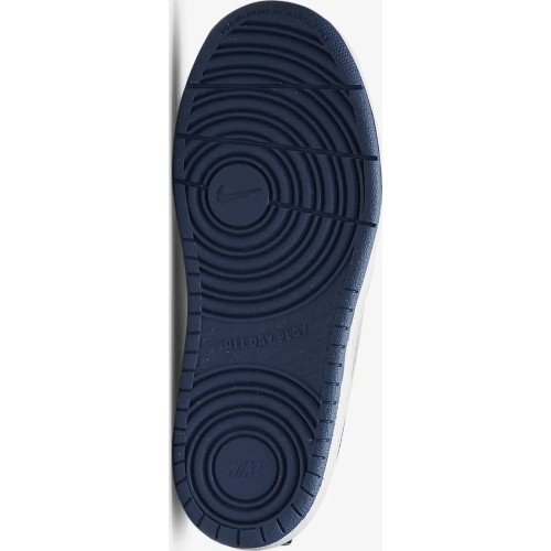 Buty dziecięce Nike Court Borough Low 2 niebiesko-szare BQ5451 016
