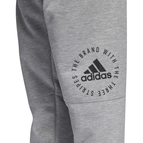 Spodnie męskie Adidas Sid Pants, szare DQ1472