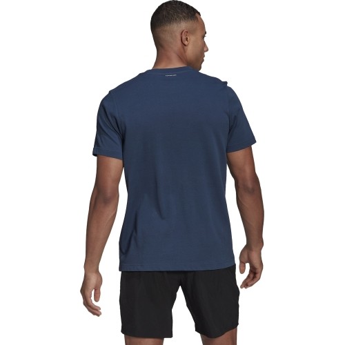 Adidas koszulka męska M Ss Cat Tee Blue GN8059