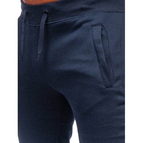 J.Style Sportinės Kelnės Vyrams Fleece Blue 68XW01-25