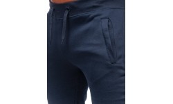 J.Style Sportinės Kelnės Vyrams Fleece Blue 68XW01-25