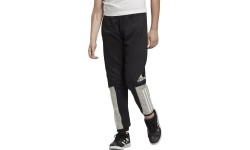Spodnie Adidas Yb Sid Pant Black ED6517