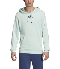 Bluza Adidas Cat Graph Hood, zielona, FM1192