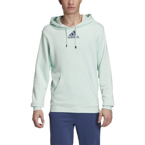 Bluza Adidas Cat Graph Hood, zielona, FM1192