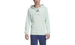 Bluza Adidas Cat Graph Hood, zielona, FM1192