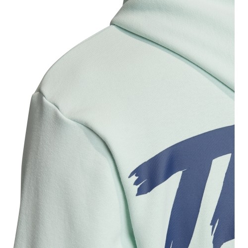 Bluza Adidas Cat Graph Hood, zielona, FM1192