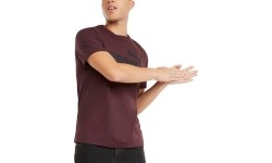 Puma Marškinėliai Vyrams Ess Logo Tee Bordeaux
