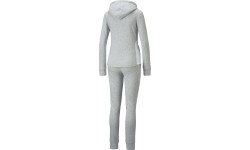 Puma Sportinis Kostiumas Moterims Classic Hooded Grey 847129 04