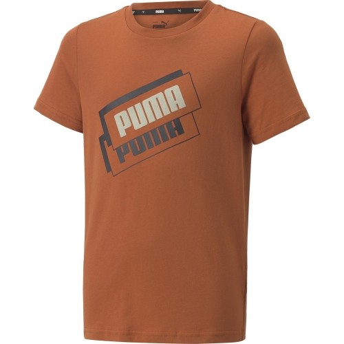 Koszulka młodzieżowa Puma Alpha Holiday Tee Orange 670109 64