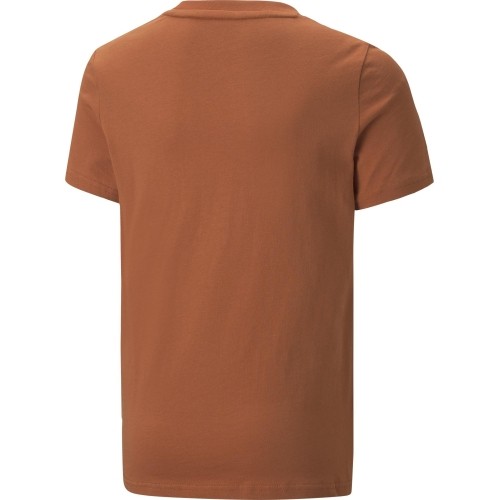 Koszulka młodzieżowa Puma Alpha Holiday Tee Orange 670109 64