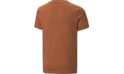 Koszulka młodzieżowa Puma Alpha Holiday Tee Orange 670109 64