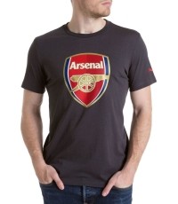 Puma Marškinėliai Afc Fan Tee - Crest Q3 Grey