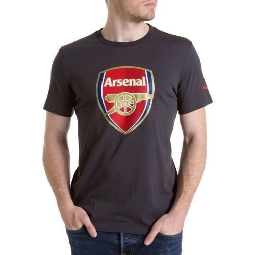 Puma koszulka Afc Fan Tee Crest Q3 Grey 749297 12