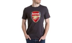 Puma koszulka Afc Fan Tee Crest Q3 Grey 749297 12