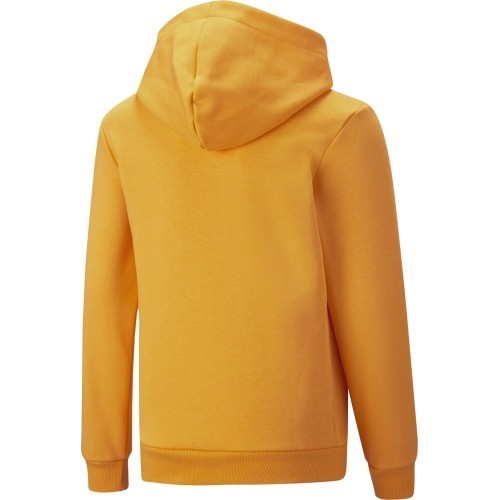 Puma Džemperis Paaugliams Ess+ 2Col Big Logo Yellow 586987 39