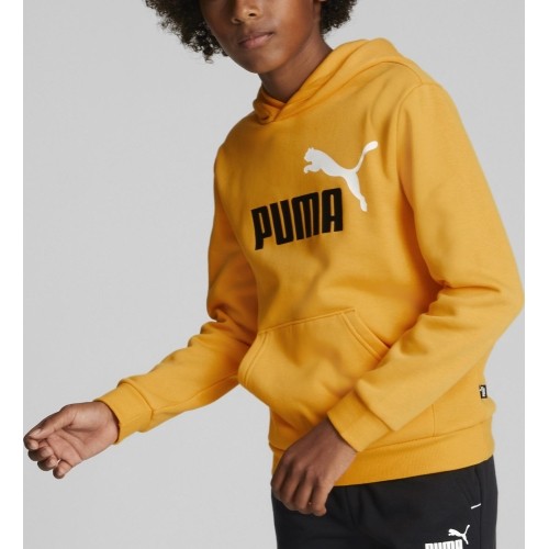 Puma Džemperis Paaugliams Ess+ 2Col Big Logo Yellow 586987 39