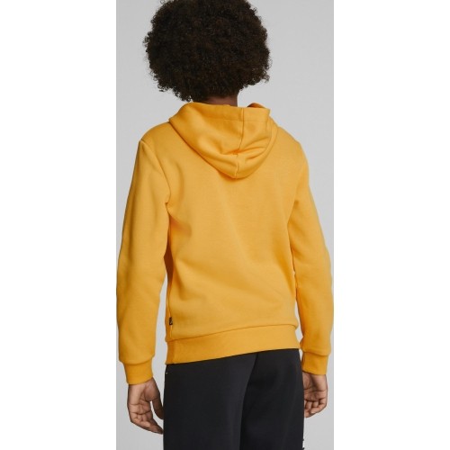 Puma Džemperis Paaugliams Ess+ 2Col Big Logo Yellow 586987 39