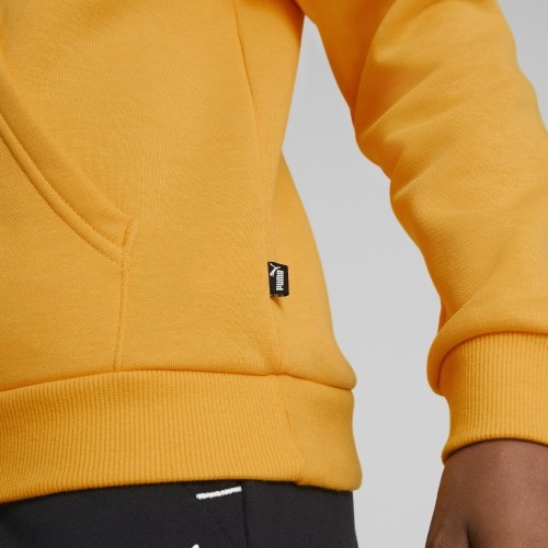 Puma Džemperis Paaugliams Ess+ 2Col Big Logo Yellow 586987 39