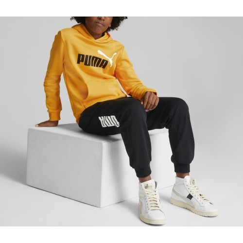 Puma Džemperis Paaugliams Ess+ 2Col Big Logo Yellow 586987 39