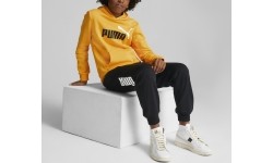 Puma Džemperis Paaugliams Ess+ 2Col Big Logo Yellow 586987 39