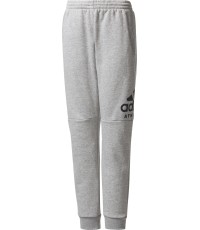 Adidas Kelnės Paaugliams Yb Sid Pants Grey