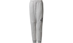 Adidas Kelnės Paaugliams Yb Sid Pants Grey