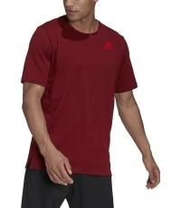 Adidas Marškinėliai Vyrams City Elevated T Burgundy