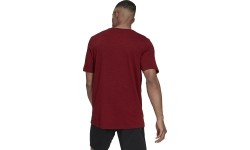 Koszulka męska Adidas City Elevated T Burgundy