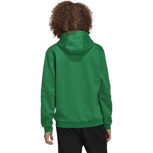 Adidas Entrada 22 Sweat Hoodie, kolor zielony