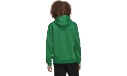 Adidas Entrada 22 Sweat Hoodie, kolor zielony