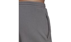 Męskie spodnie Adidas Ent22 Sw szare H57531