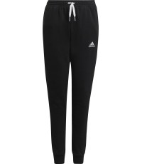 Adidas Entrada 22 Sweat Y JR, czarny