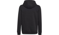 Adidas Entrada 22 Hoody JR, czarny