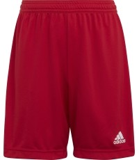 Szorty Adidas Entrada 22 Jr, czerwony